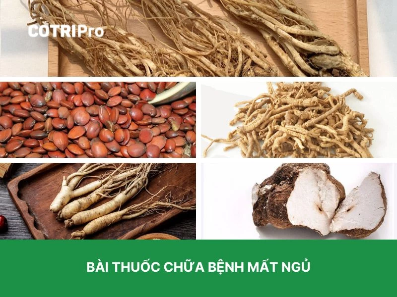 Đương quy trị mất ngủ
