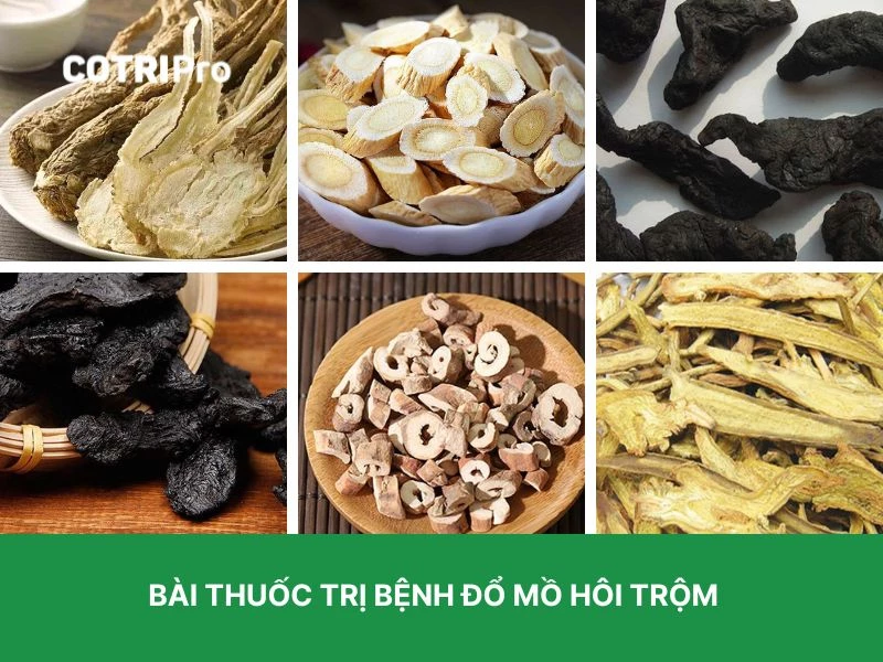 Đương quy trị mồ hôi trộm