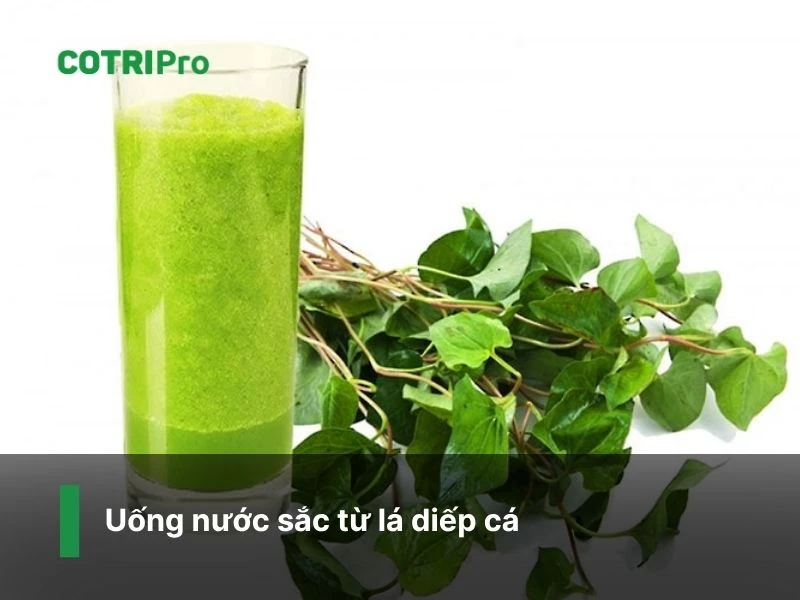 Nước sắc lá diếp cá ngừa táo bón