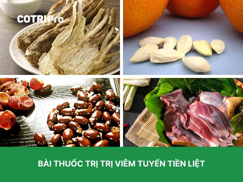 Cây đương quy trị viêm tuyến tiền liệt