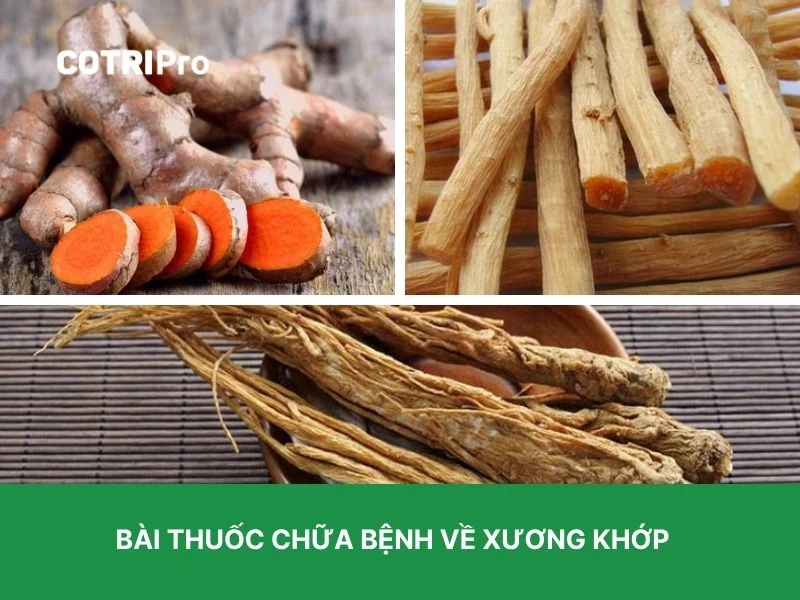 Chữa xương khớp với đương quy