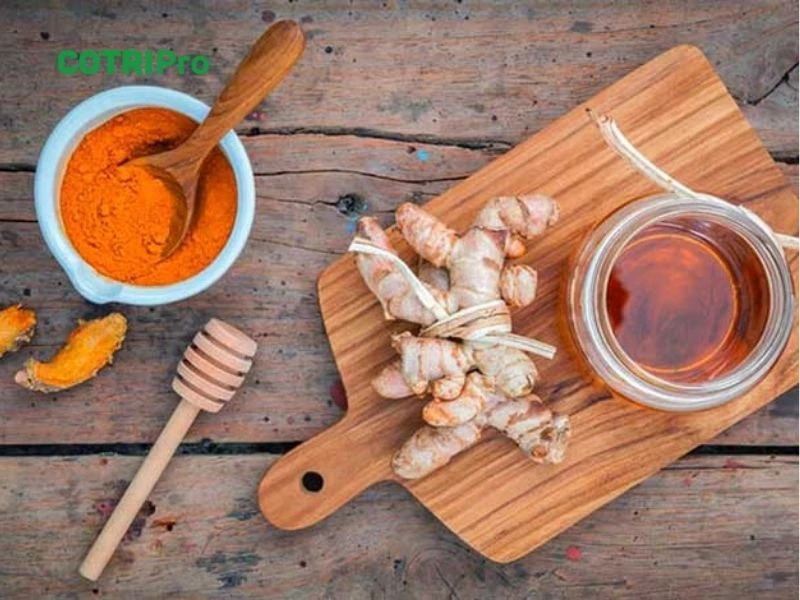 Nghệ cùng mật trong trị trĩ