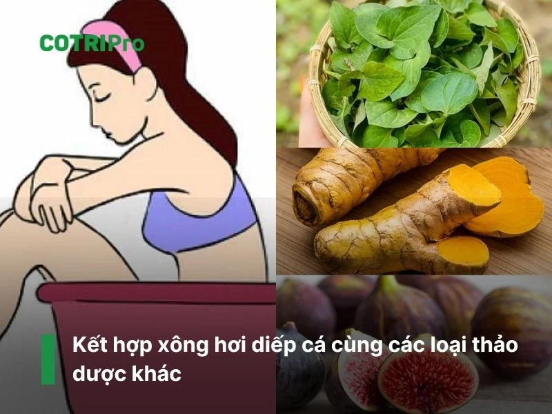 Phục hồi sức khỏe hậu môn với diếp cá