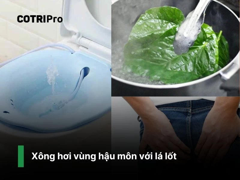 Giảm sưng đau với lá lốt