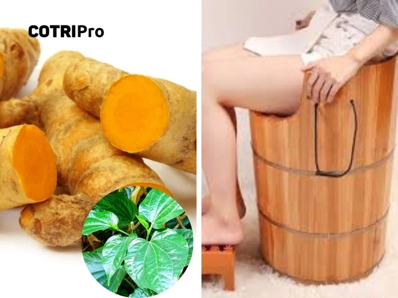 Nghệ cùng lá lốt giảm viêm búi trĩ