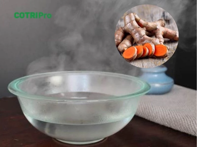 Xông nghệ tươi hỗ trỡ trị trĩ