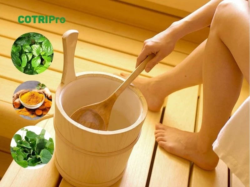 Nghệ tươi với thảo dược khi xông giúp trị trĩ
