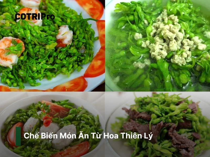Món ăn hoa thiên lý cải thiện tiêu hóa