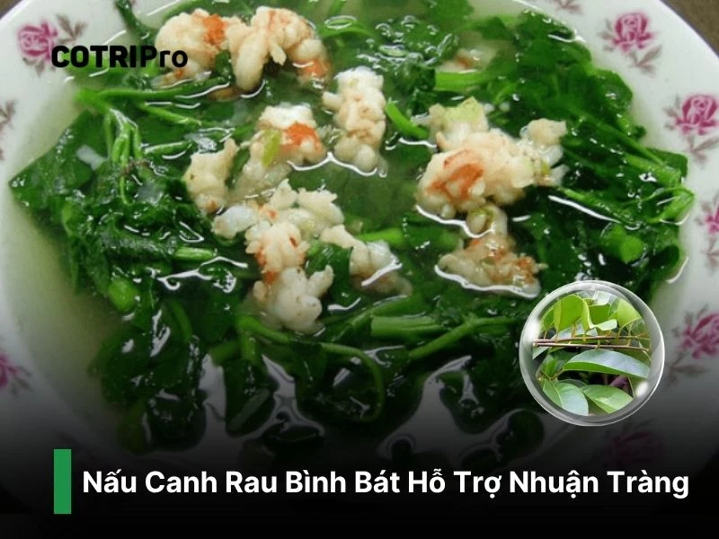 Rau bình bát giảm táo bón