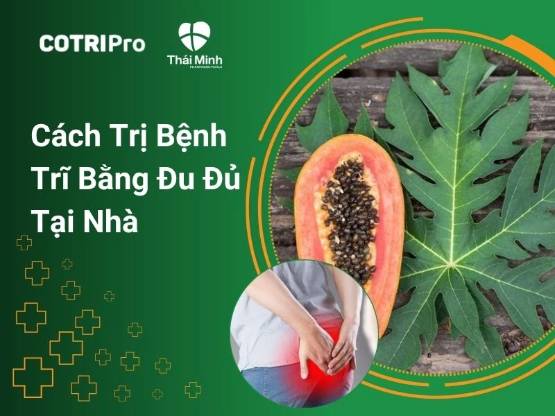 Cách trị bệnh trĩ bằng đu đủ tại nhà