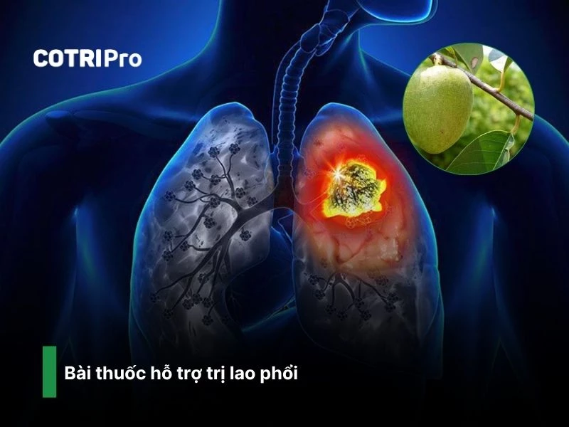 Điều trị bệnh lao phổi với vỏ thân cây bình bát