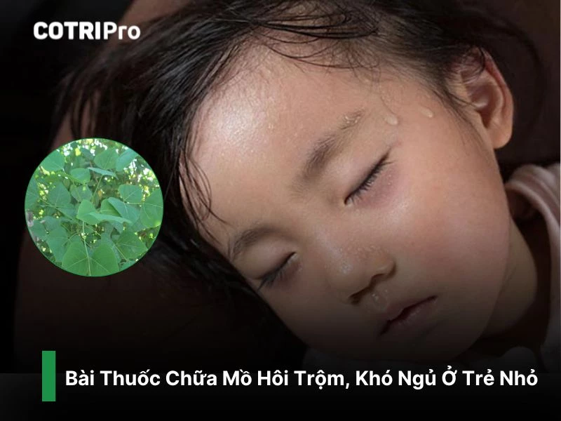 Điều trị mồ hôi trộm với cây vông
