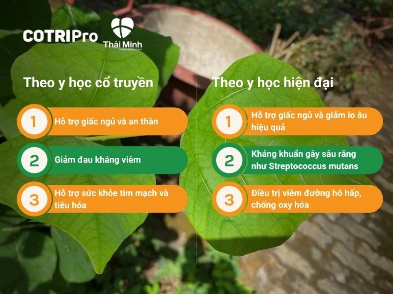 Công dụng của cây vông trong y học