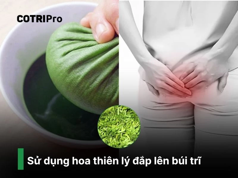 Hoa thiên lý giúp giảm sưng búi trĩ nhẹ