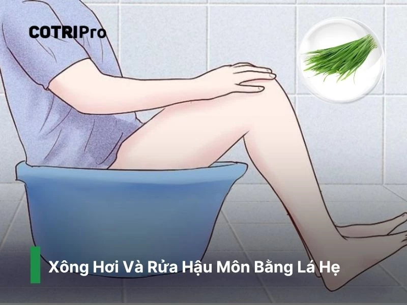 Giảm đau búi trĩ với bằng cách xông hơi lá hẹ