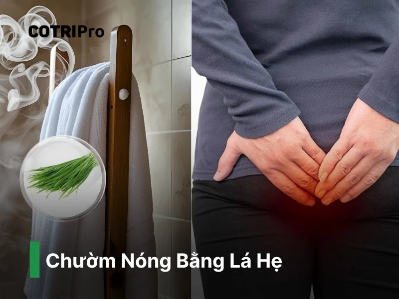 Giảm sưng đau búi trĩ với chườm nóng lá hẹ