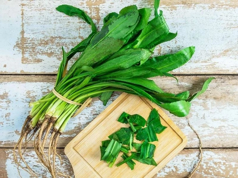 Lá ngò gai có viền răng cưa sắc và mùi thơm