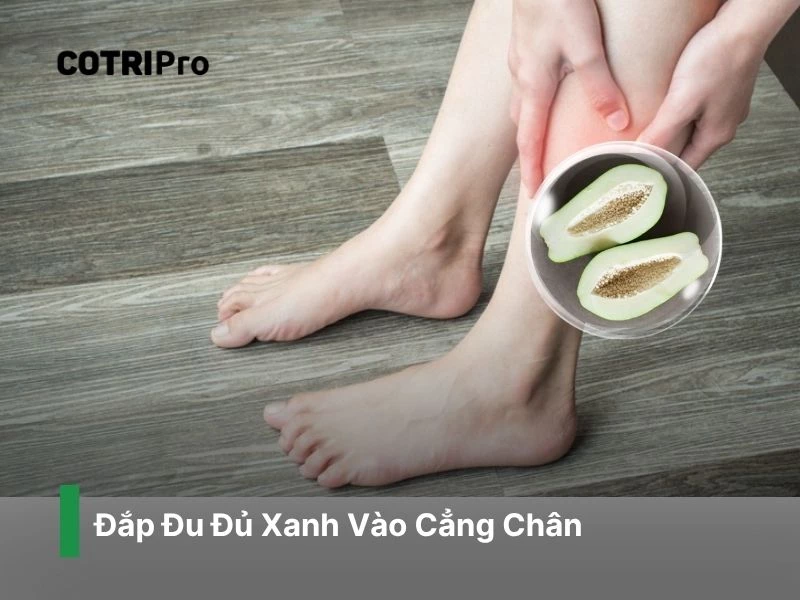 Đắp đu đủ xanh vào cẳng chân hỗ trợ ngừa trĩ