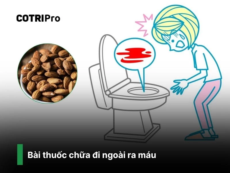 Chữa đi ngoài ra máu với nhân hạt bàng