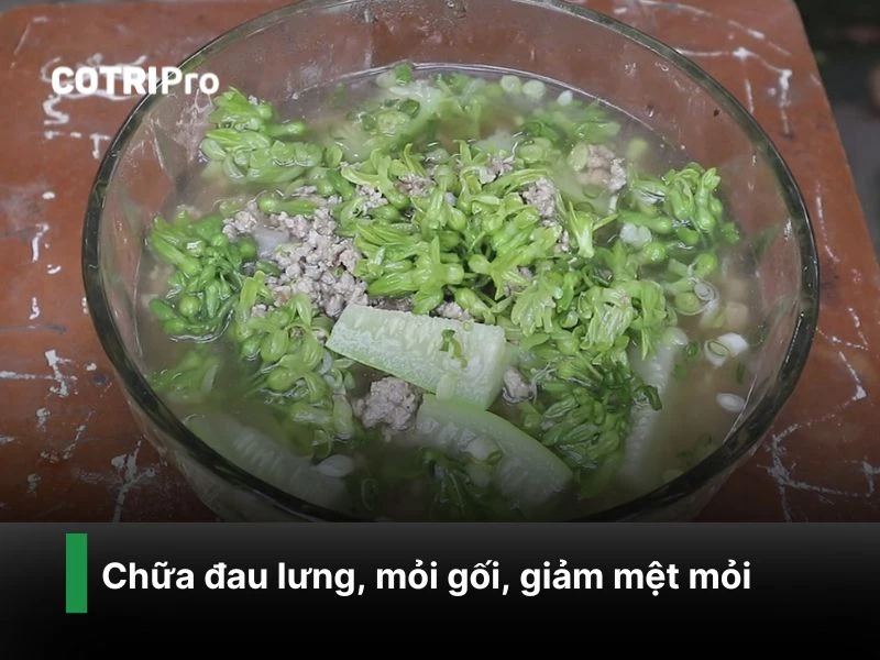 Chữa đau lưng với canh hoa thiên lý
