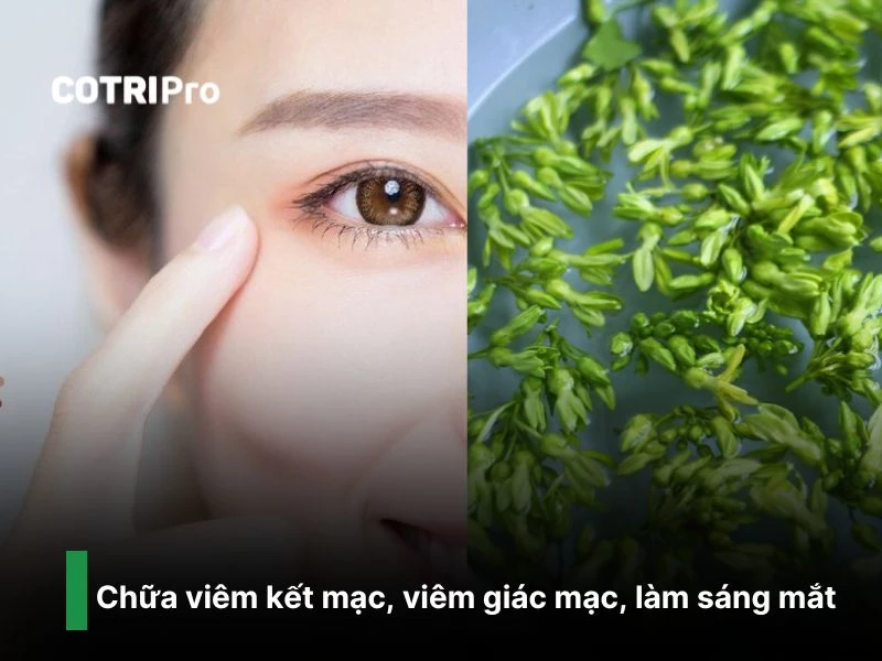 Làm sáng mắt với hoa thiên lý