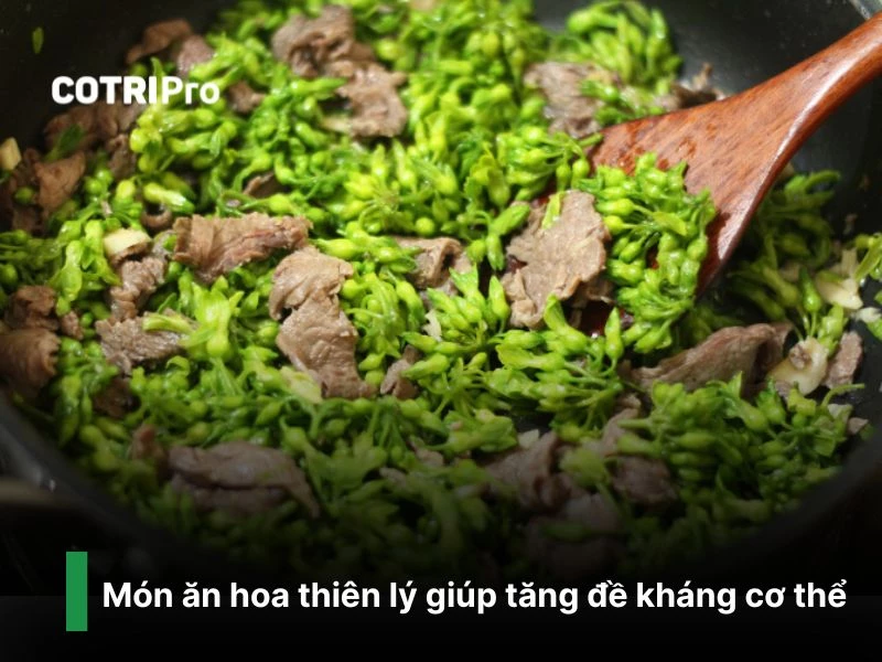 Tăng sức đề kháng cơ thể với hoa thiên lý