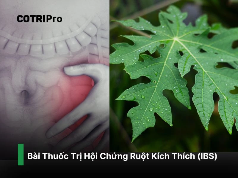 Chữa hội chứng ruột kích thích lá đu đủ