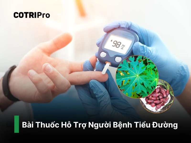 Chữa tiểu đường với lá đu đủ