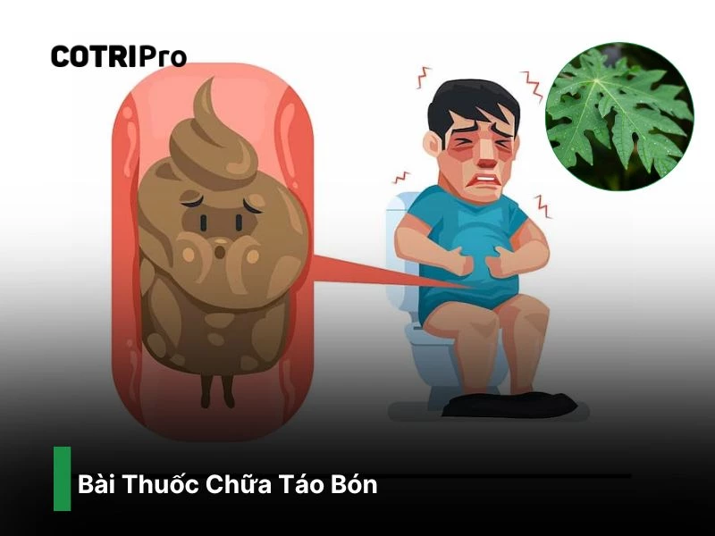 Cải thiện hệ tiêu hóa, táo bón với lá đu đủ