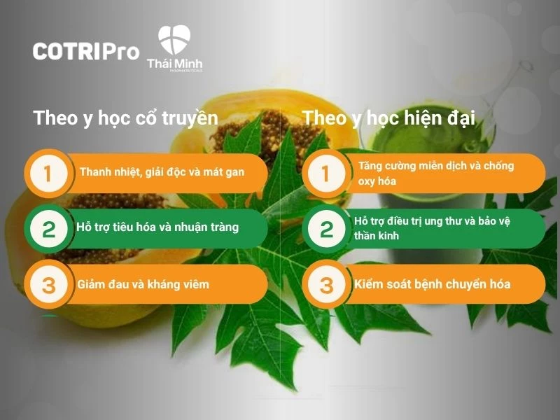 Tác dụng lá đu đủ trong y học