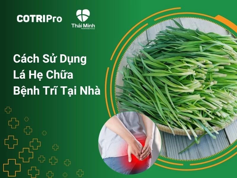 Chữa trĩ tại nhà với lá hẹ