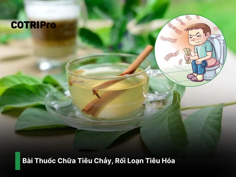 Chữa tiêu chảy do nhiễm khuẩn với nước lá ổi