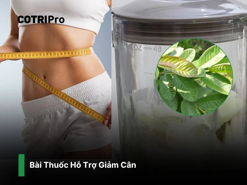 Cải thiện cân nặng với sinh tố lá ổi