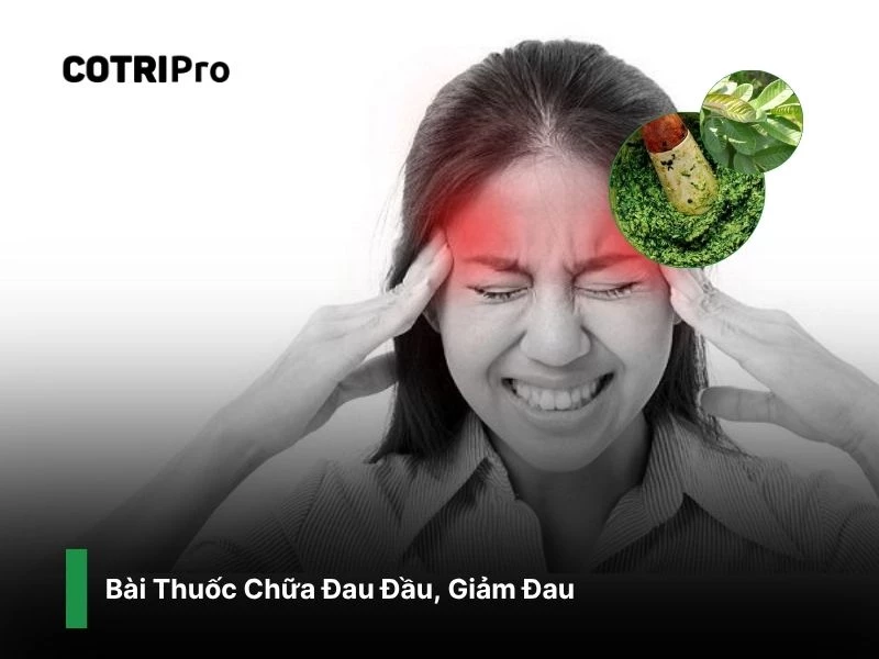 Cải thiện stress với lá ổi