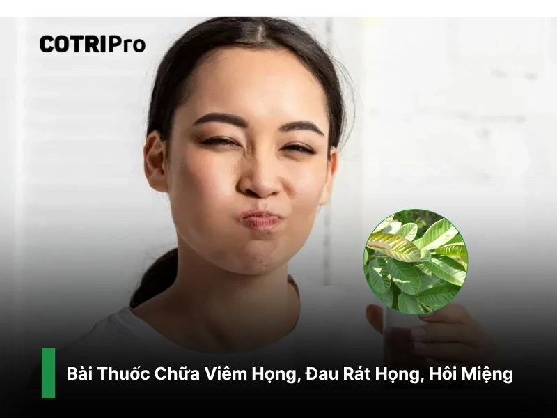 Cải thiện hơi thở miệng, viêm họng với lá ổi