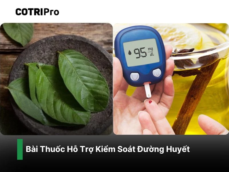 Kiểm soát đường huyết với lá ổi