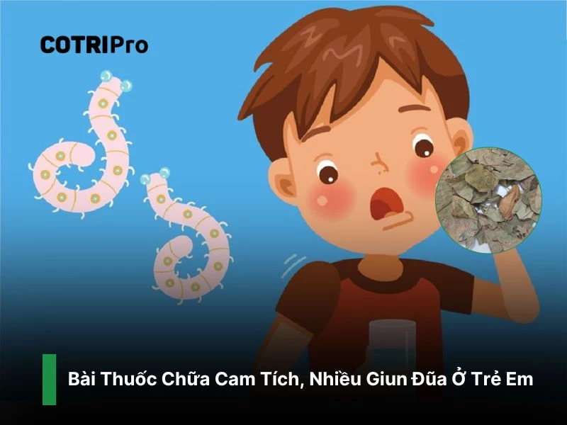 Chữa giun đũa, cam tích ở trẻ em với lá vông
