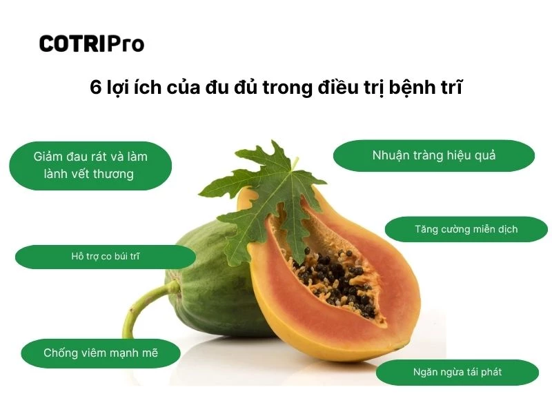 Hoạt chất của đu đủ giúp ngừa trĩ