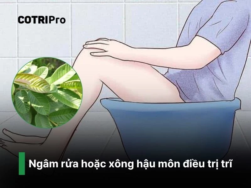 Co búi trĩ với ngâm rửa hậu môn lá ổi