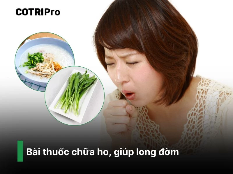 Chữa ho, long đờm với món ăn từ ngò gai