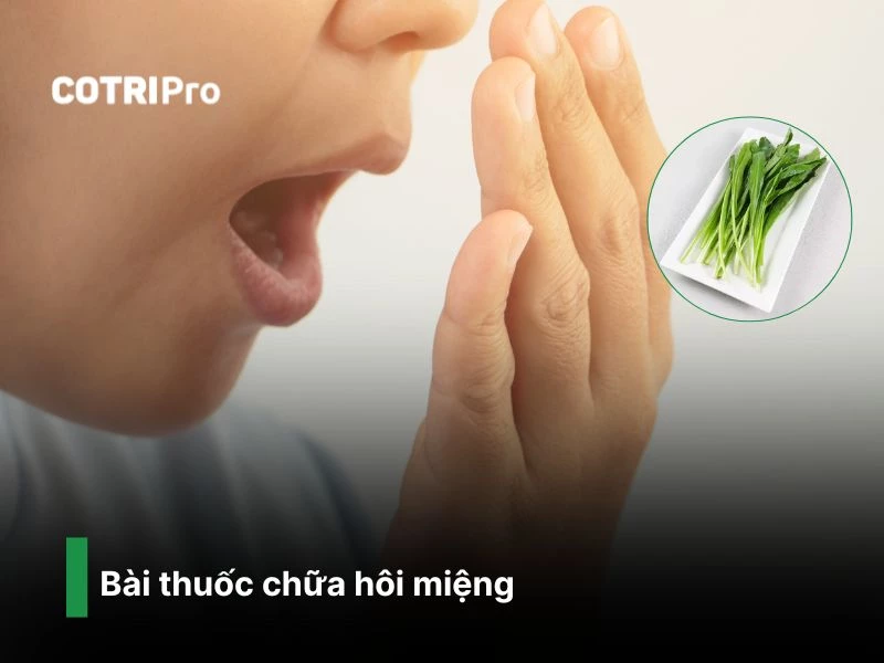 Sử dụng ngò gai cải thiện mùi hôi miệng