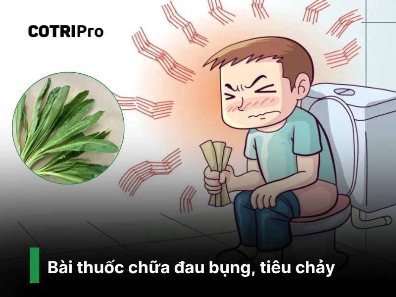 Cải thiện tiêu hóa với ngò gai