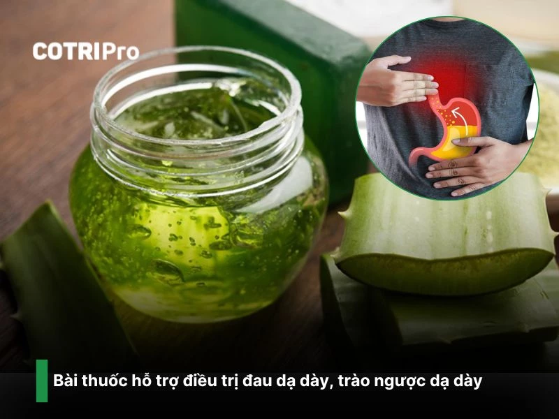 Trị đau dạ dày, cải thiện thiện tiêu hóa với nha đam
