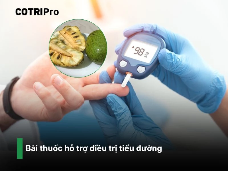 Nước sắc quả bình bát trị tiểu đường