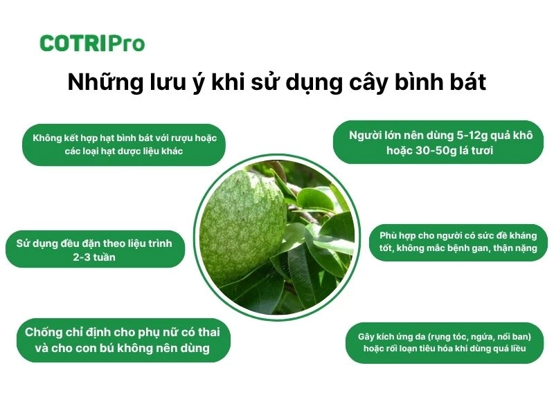 Lưu ý khi sử dụng cây bình bát