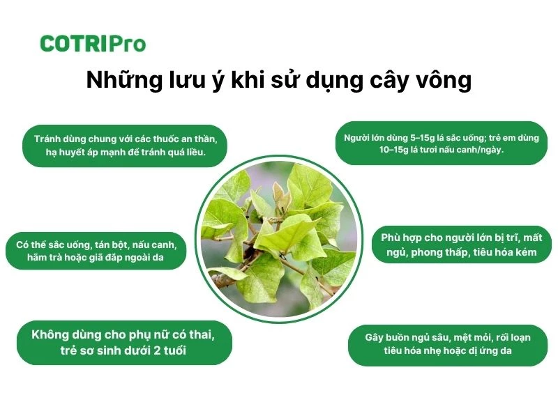 Lưu ý khi sử dụng cây vông trị bệnh
