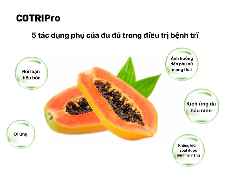  lưu ý sử dụng đu đủ ngừa trĩ