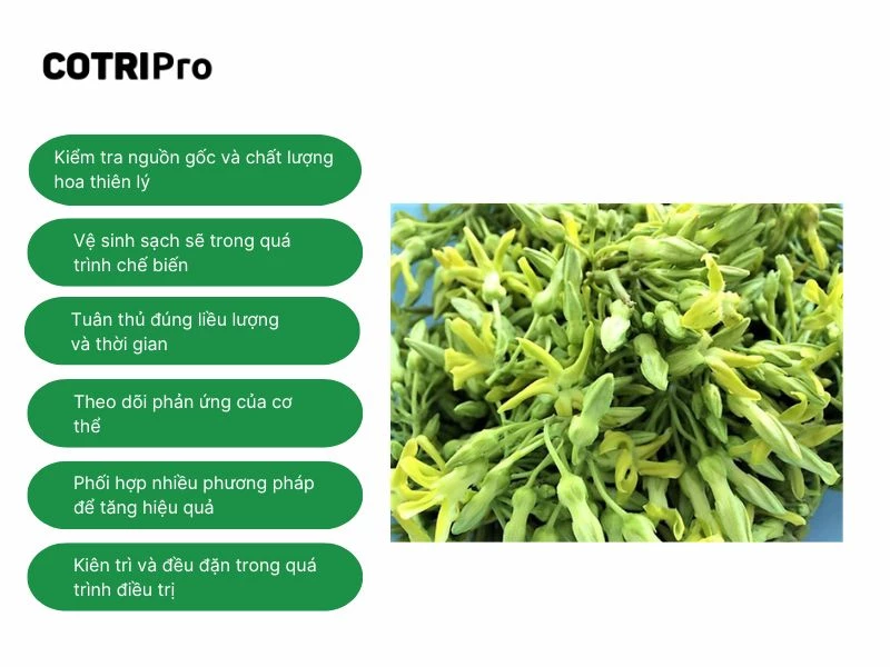 Lưu ý khi sử dụng hoa thiên lý trị trĩ