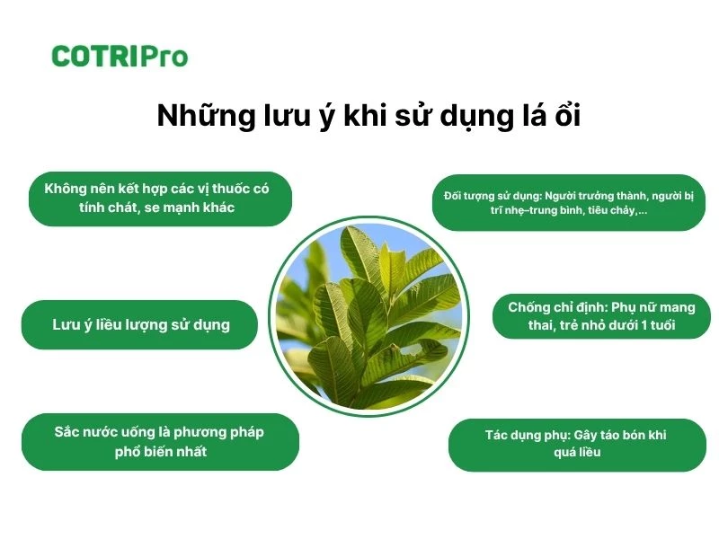 Lưu ý khi sử dụng lá ổi