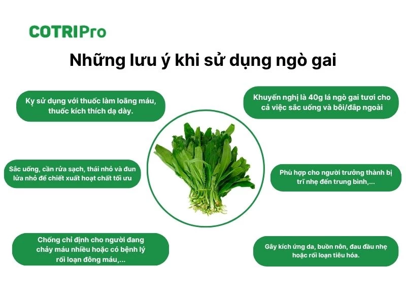 Lưu ý khi sử dụng ngò gai